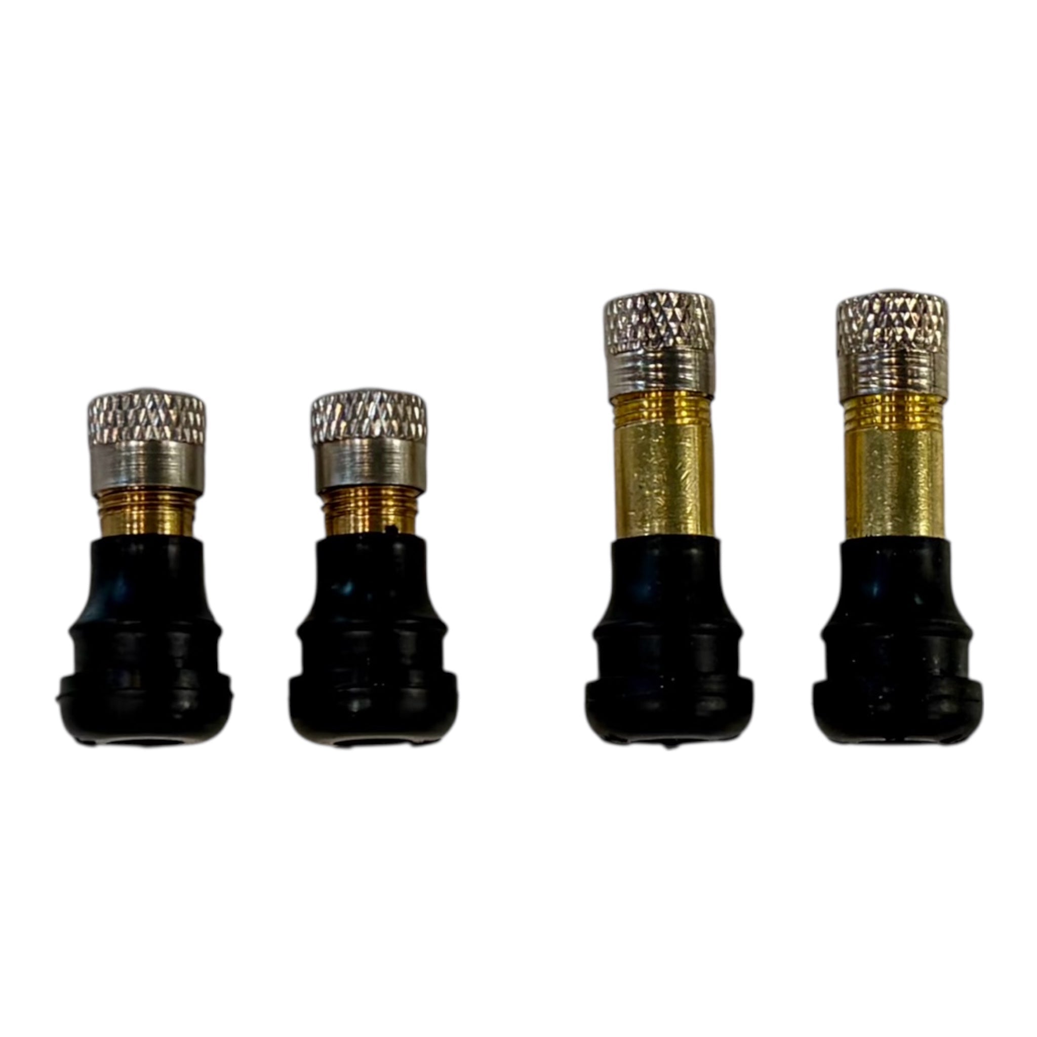 Tire Valve Stem (2 Pack)– Segway Los Angeles