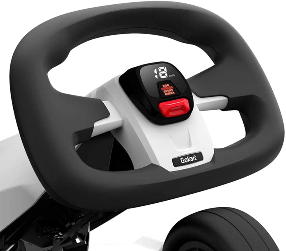 Color Speedometer Segway Speedometer for Ninebot Gokarts– Segway Los Angeles